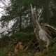 Illustration for article titled Can you spot the camouflaged snipers hiding in these photographs?